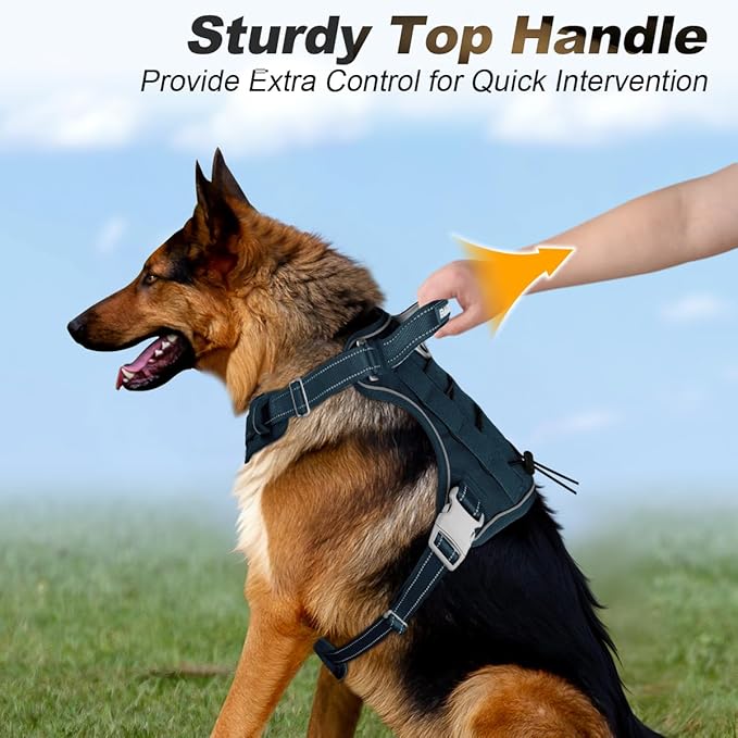 BARKBAY Service Dog Vest Tactical Dog Harness Medium Large Sized Dog Tags Personalized No Pull Adjustable Harness Reflective Working Training Easy Control Military Molle System(Legion Blue,XL)