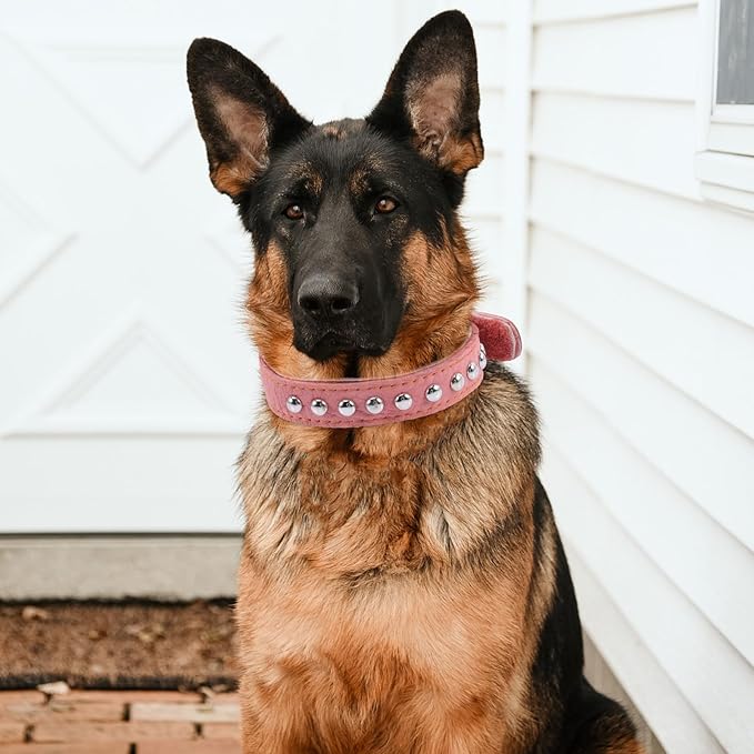 Kichvoe Soft Leather Dog Collar 2.5cm Wide Sturdy Pet Neck Tie for Large Breeds Comfortable Wear Basic Collar