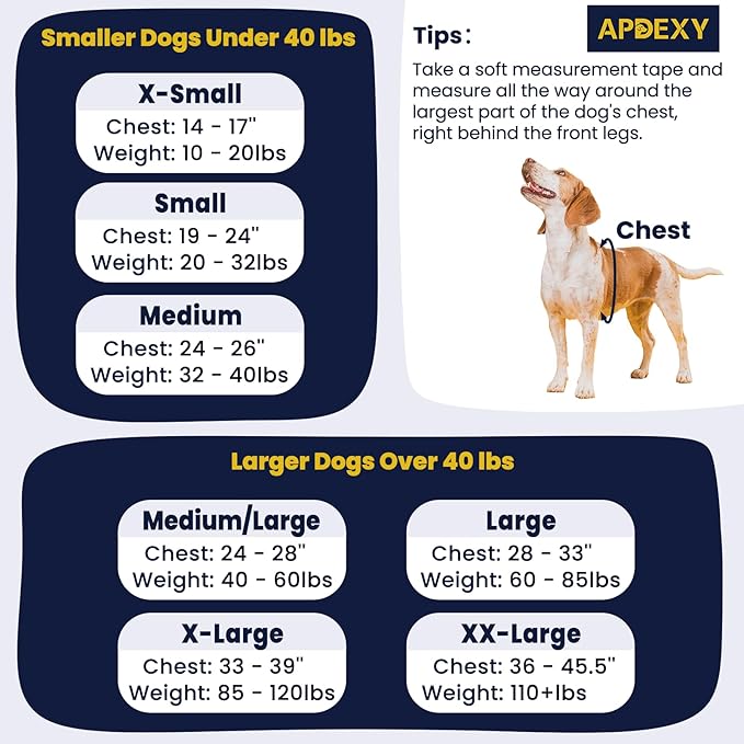 Freedom No Pull Dog Harness, Easy Walk with Two Stainless D-Rings, Front Clip, Comfortable, Sewn-in Instructions Tags for Easy Use, for Large Dogs Weight 60-85 lbs (Blue, L)