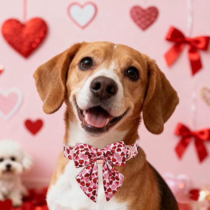 Maca Bates Valentine's Day Dog Collar with Sailor Bow for Large Girl Boy Dogs,Red Love Hearts Pattern,Adjustable Durable Soft Valentine Gift for Female Male Puppy