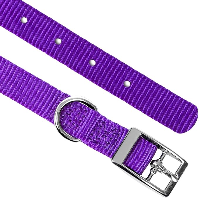 Jeffers Pet Solid Web Nylon Dog Collar for Small, Medium, Large Dogs – Adjustable Pet Collar, Nickel Plated Hardware – Strong, Durable, Comfortable – Outdoor, Training Use - Purple 5/8" W x 10" L