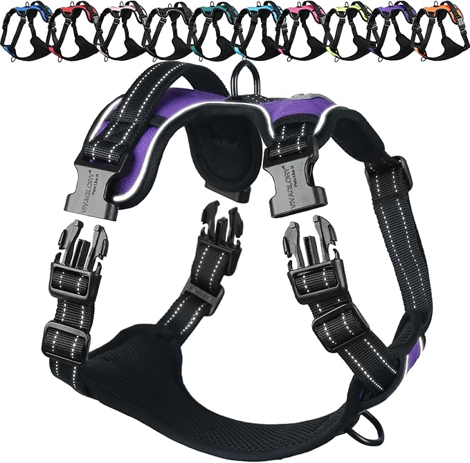 VIVAGLORY Dog Harness Easewalk No Pull Dog Harness with Handle Front Clip & Back Clip for Training Walking Lifting, No Pull Adjustable Easy On Padded Comfortable for Pet, M, Purple - Plain