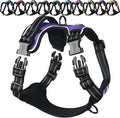 VIVAGLORY Dog Harness Easewalk No Pull Dog Harness with Handle Front Clip & Back Clip for Training Walking Lifting, No Pull Adjustable Easy On Padded Comfortable for Pet, L, Purple - Plain