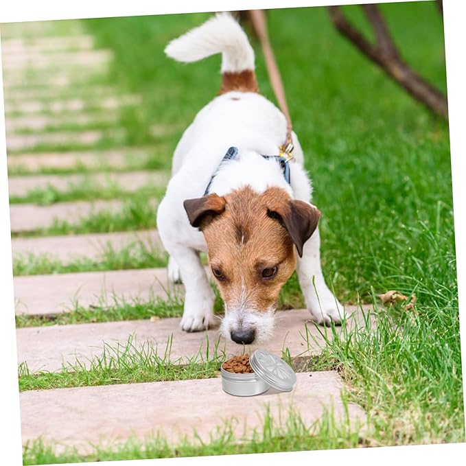 BESPORTBLE 1 Set Dog Scent Training Kit Metal Tins with Lids for Scent Work Nose Training and Agility Versatile Containers for All Skill Levels Easy to Use with Adhesive Pads
