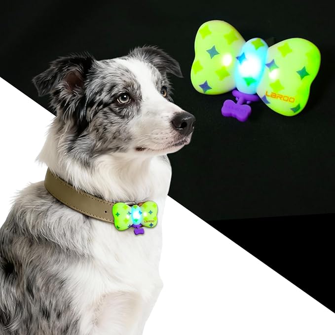 LaRoo Dog Collar Lights for Night Walking,USB-C Rechargeable Dog Lights，Only 12g for Small Dogs, 3 Modes Colored Lights,Waterproof LED Collar Charm for Nighttime Running,Pet Camping Essentials(Purple)