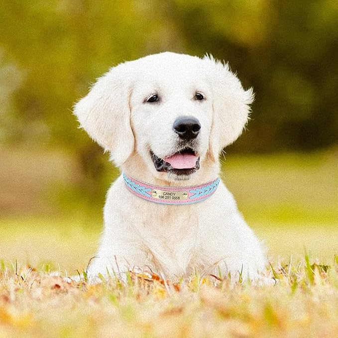 Personalized Braided Dog Collar Custom PU Leather Dog Collars Padded Pet ID Collar for Small Medium Large Dogs Pitbull Bulldog Blue L