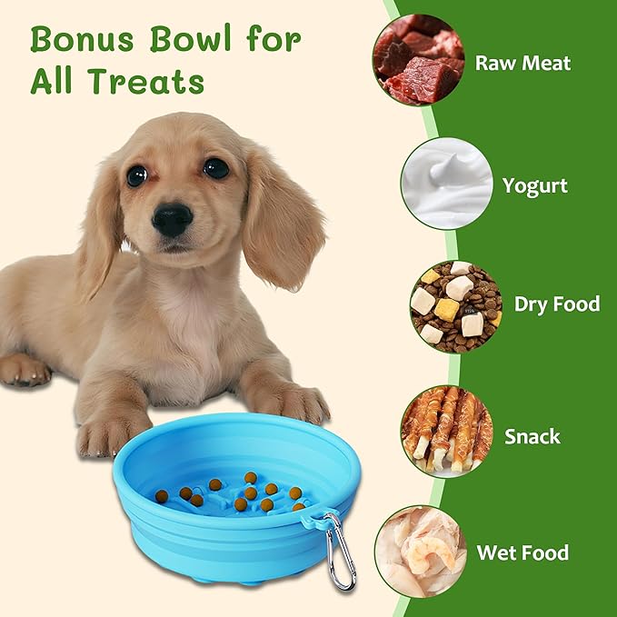 Collapsible Dog Bowl for Travel Outdoor Portable Silicone Pet Bowl with Carabiner Clip