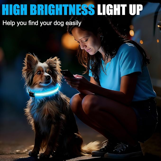 LED Dog Collar Rechargeable- Brightest Light Up Dog Collars - 1,600 Feet of High Visibility - Magnetic Charging - Glow in Dark Dog Lights for Night Walking, Blue M