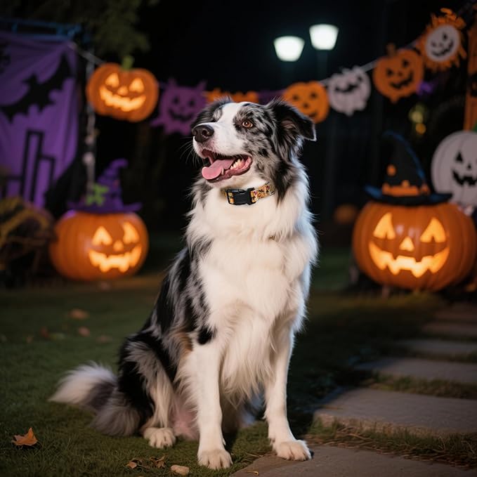 Halloween Dog Collar, Adorable Ghost Pattern Halloween Collar for Medium to Large Dogs - Comfortable & Cute November 1st All Saints Dog Collars (L, 15.5-26IN)