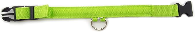 Green Light-Up LED Adjustable Pet Collar (Flashing or Steady Modes) - Rechargeable via USB Cable (Included) by Electronix Express (Small)