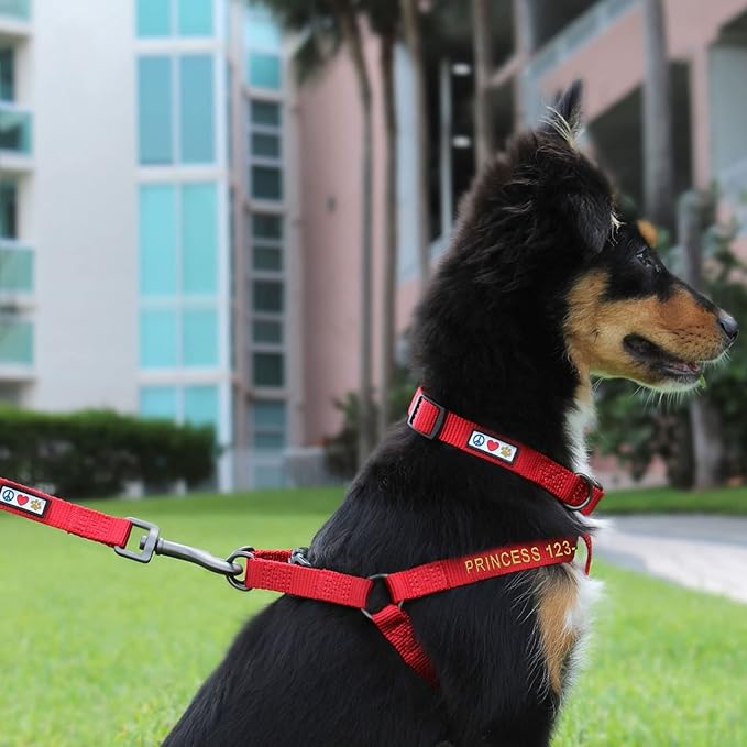 Pawtitas Personalized Dog & Puppy Harness Large Marsala Custom ID Tag Adjustable No Pull Vest
