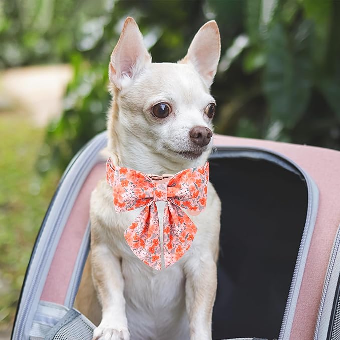 Orange Flower Bowtie Dog Collar - Summer Collar for Puppy Boy Girl, Comfortable Cotton With Metal Buckle, XL
