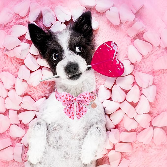 Valentine’s Dog Collar with Bow Tie, Pink Heart Bowtie Collar with Metal Buckle, Valentine’s Gift Pet Collar for Puppy Girl Boy Dog or Cat, Wedding Dog Collar, L