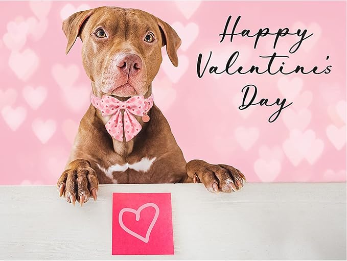 Valentine Dog Collar with Bow Tie, Medium Girl Dog, Cotton with Metal Buckle, Valentine's Day Gift, M, 13.5-22in, Pink Plaid