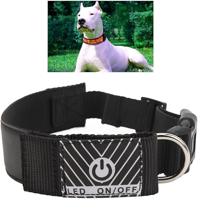 Programmable LED Dog Collar with App Control, Rechargeable High Visibility Yellow Pet Safety Collar for Night Walks, Compatible with SPOTLED App