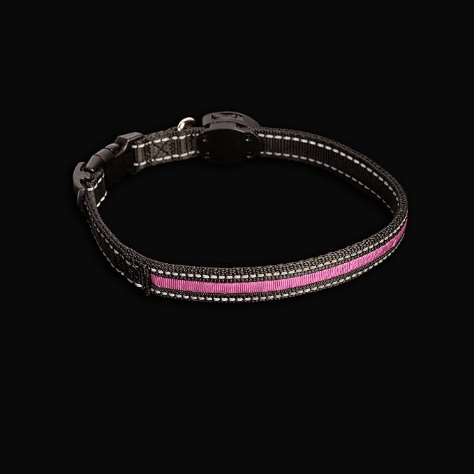 Sherry Kline LED Light-Up Pet Collar - USB Rechargeable - Flashing Glow in The Dark Size Large, Color: Pink