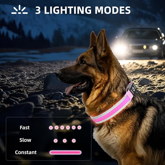 PetIsay LED Dog Collar Metal Buckle - Heavy Duty Light up Collars - Rechargeable IP68 Waterproof - Lighted Dog Collar for Night Walking, Hiking, Camping (Large, Pink)
