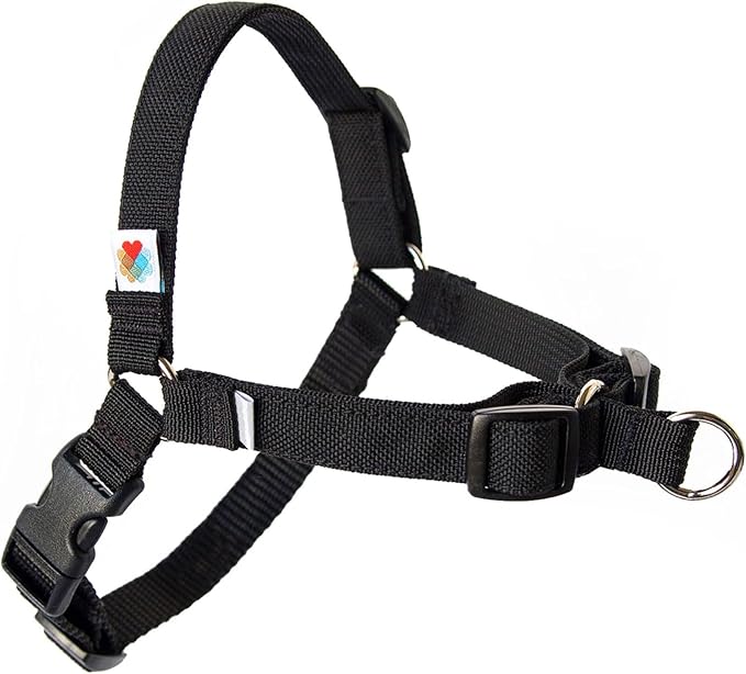 Wildebeest No Pull Dog Harness | Comfortable Dog Training Harnesses | Effective No Pull Harness Design | Ideal Dog Harness for Small Dog and Puppy | 4-Point Adjustable (S - 18~24 inch Girth, Black)
