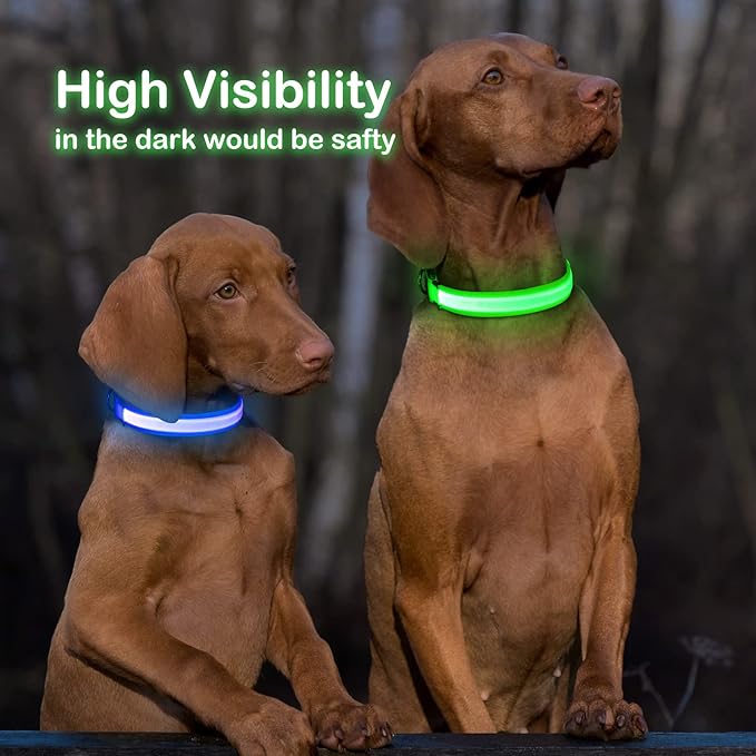 Weesiber USB Rechargeable LED Dog Collar - Waterproof, Adjustable Size with Multiple Flash Modes - Small, Red