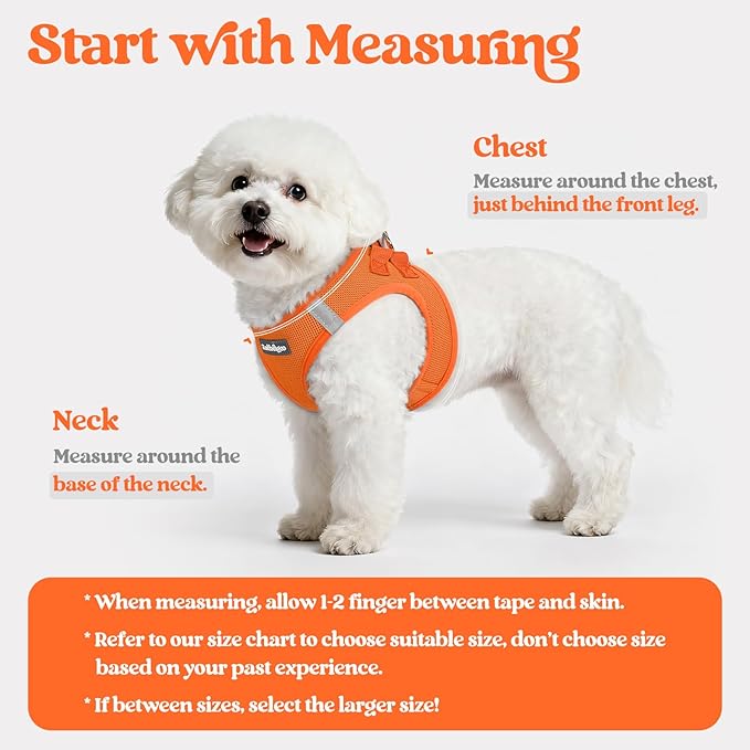 rabbitgoo Dog Harness Small Sized and Leash Set, Step in Soft Light Puppy Vest, Breathable Mesh Pet Harness, Reflective for Safe Easy Walking, Orange XXXS