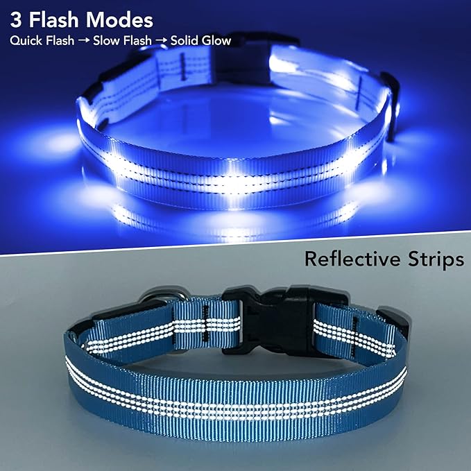 Weesiber Light Up Dog Collars - Rechargeable LED Collar - Reflective Adjustable Dog Lights for Night Walking (Blue, Medium)