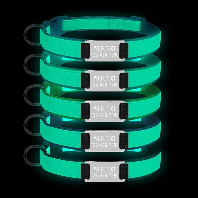 Custom Glow in The Dark Dog Collar with Name & Phone Number, Personalized Reflective Dog Collar for Small Medium Large Dog, Light Up Pet Collar with Engraved ID Tag