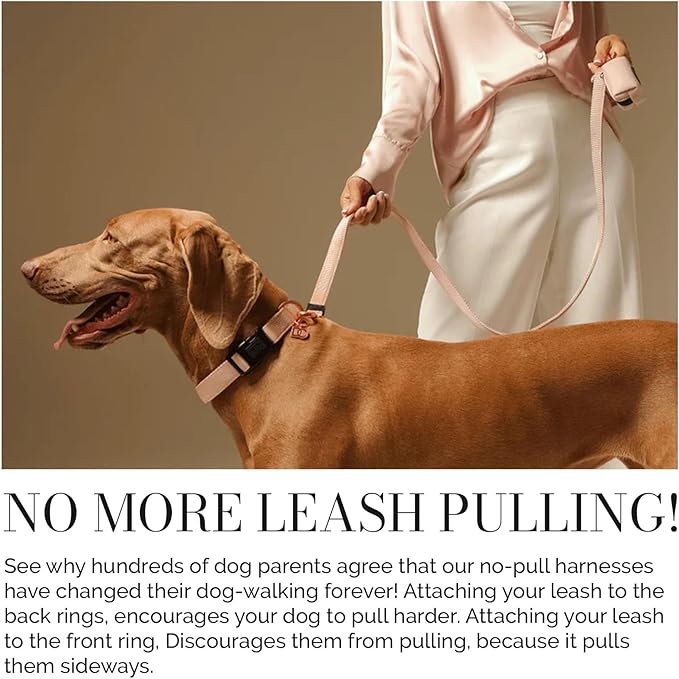 The DOGISTRY - City Collar - Blush - Premium Dog Collar with Padded Neoprene & Signature Fabric - Refined Design & Everyday Luxury - Large