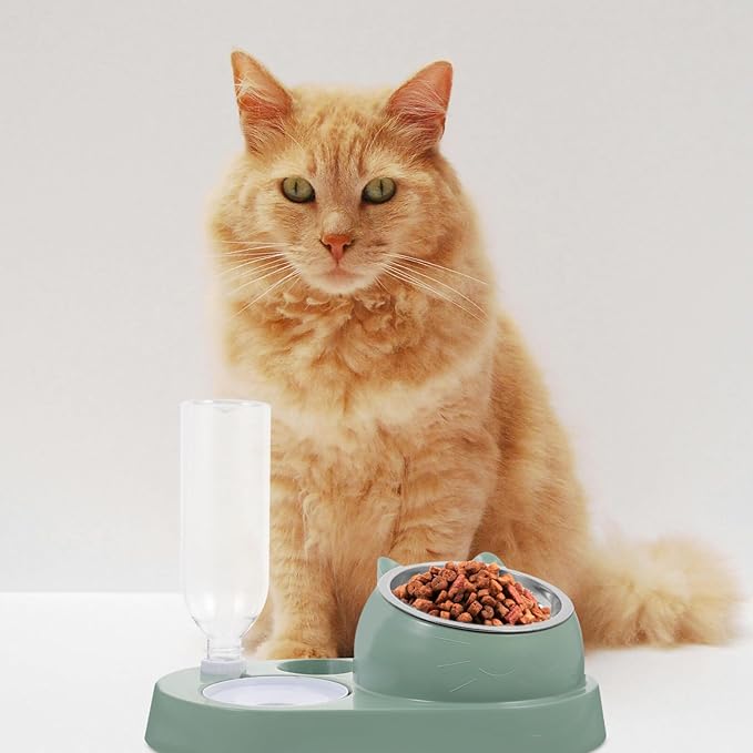 Automatic Pet Feeder and Water Dispenser for Dogs and Cats Dual Bowl Convenient One for Home and Travel