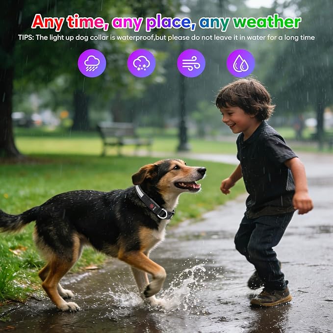 Weesiber Light Up Dog Collar, USB Rechargeable LED Dog Collar Glow in The Dark, Adjustable Reflective Waterproof Dog Collar Light for Night Walking (RGB, M)