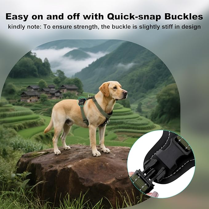 Plutus Pet Adjustable No Pull Dog Harness with Leather Accents, Heavy Duty Reflective Nylon Vest for Training, Hiking, Easy Walk Harness for Small, Medium, Large Dogs (Ranger Green, L)
