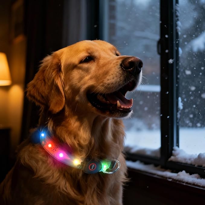 Light Up Dog Collar, LED Dog Collar Glow in The Dark - USBC Rechargeable, 3 Flashing Modes Adjustable Glow Collar, Safety Fashionable Cute Dog Light Up Collars for Medium Large Dogs Green