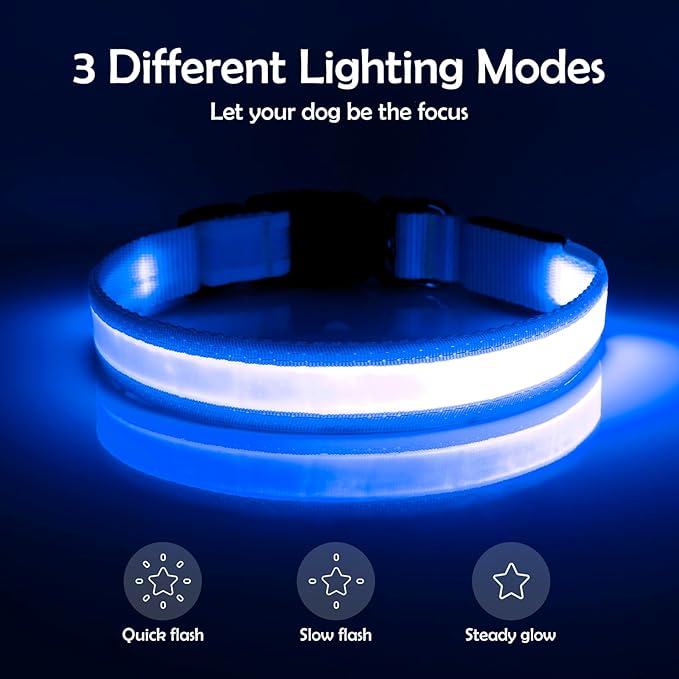 Vizpet LED Dog Collar, Light Up Dog Collar Adjustable USB Rechargeable Super Bright Safety Light Glowing Collars for Dog(Large,Blue)