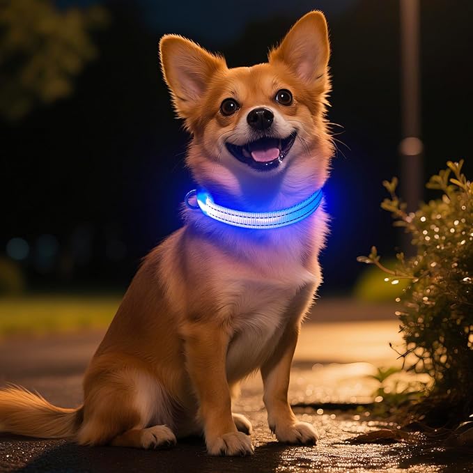 Light Up Dog Collar for Small Dogs, LED Dog Collar Rechargeable Safety Dog Lights, Fully Adjustable Glow in The Dark Dog Collar Light for Night Walking & Camping (X-Small, Blue)