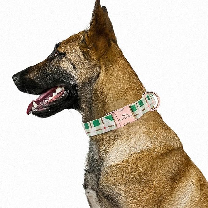 Fashion Custom Dog Collar Nylon Print Personalized Pet Collar Puppy Dog ID Collars Free Engraved ID for Small Medium Large Dogs 132 Green 23 to 30 cm