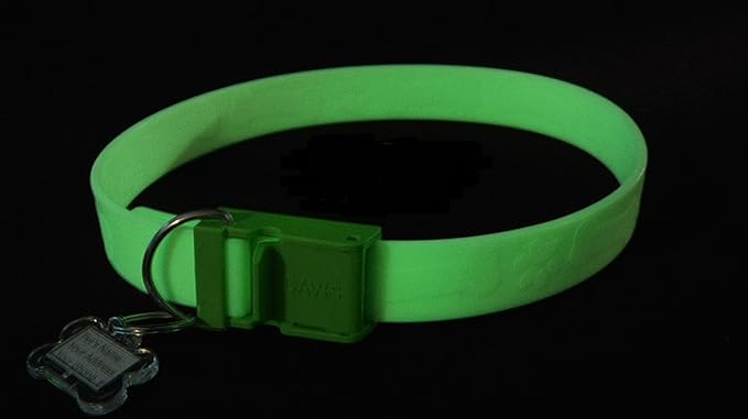 Davis FurEver Brite Glow in The Dark Pet Safety Collar, Small to Medium, Green