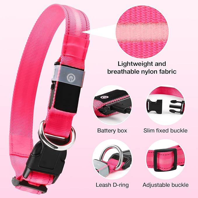 Light Up Dog Collar, USB Rechargeable 6 Modes, Waterproof Charging Port, Long Lasting LED Collar - Adjustable Nylon Reflective for Dogs, Sizes S/M/L (7/9/11 Lights) - 5 Colors (Pink, L)