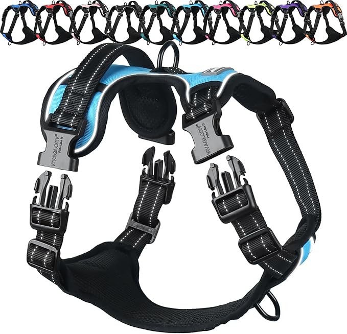 VIVAGLORY Dog Harness Easewalk No Pull Dog Harness with Handle Front Clip & Back Clip for Training Walking Lifting, No Pull Adjustable Easy On Padded Comfortable for Pet, XL, Sky Blue - Plain