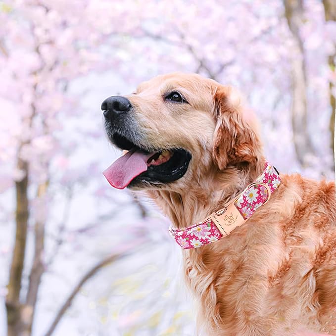 Elegant little tail Dog Collar, Pink Floral Pattern Pet Collar Durable Cute Dog Collars Summer Female Pet Gift Adjustable Dog Collar for Large Dogs
