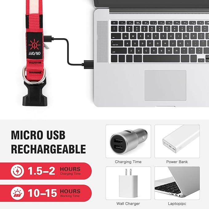 Illumifun LED Dog Collar, USB Rechargeable Light Up Dog Collars, Flashing Safety Dog Collar Glow in The Dark (Red, Medium)