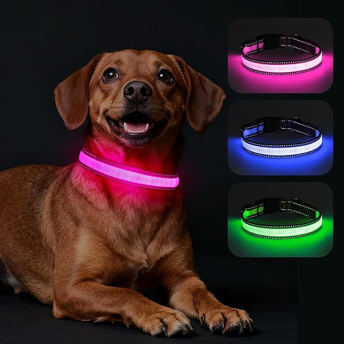 LED Dog Collar USB Rechargeable - Light Up Dog Collar Safety Pet Collars with Lights for Night Walking, Camping (Pink, L)