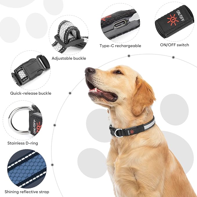 Weesiber Light Up Dog Collar, USB Rechargeable LED Dog Collar Glow in The Dark, Adjustable Reflective Waterproof Dog Collar Light for Night Walking (RGB, S)