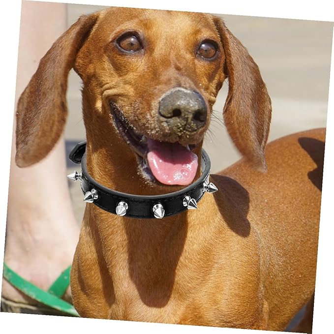 Rivet Dog Collar Adjustable Medium Size 2.0cm Wide Black Sturdy Leather Pet Collar for Walking and Training