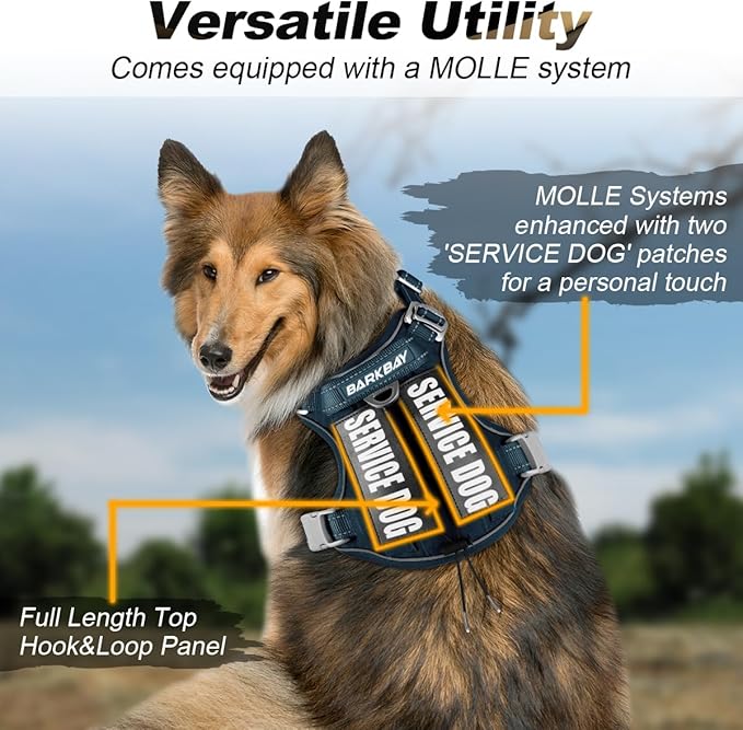 BARKBAY Service Dog Vest Tactical Dog Harness Medium Large Sized Dog Tags Personalized No Pull Adjustable Harness Reflective Working Training Easy Control Military Molle System(Legion Blue,L)