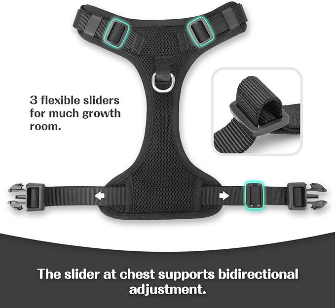 No Pull Dog Harness for Small Medium Large Dogs - Adjustable 2 Layer Mesh Dog Vest with Dual Clip, Escape Proof, Quick Release, Lightweight Breathable Mesh for Walking Hiking (Black,L)