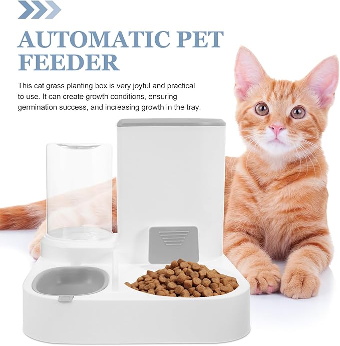 DOITOOL Automatic Pet Feeder and Water Bowl, Large Capacity Dry and Wet Food Separation, Detachable Cat and Small Dog Feeder for Home Use, Gray