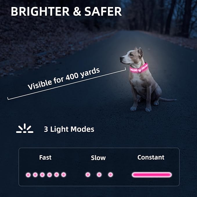 LED Dog Collar for Small Dogs Cats - Fully Waterproof & Adjustable Glow Collar - USB-C Rechargeable for Night Walking, Safety - Flashing Lighted Collar for Dogs(Pink,S)