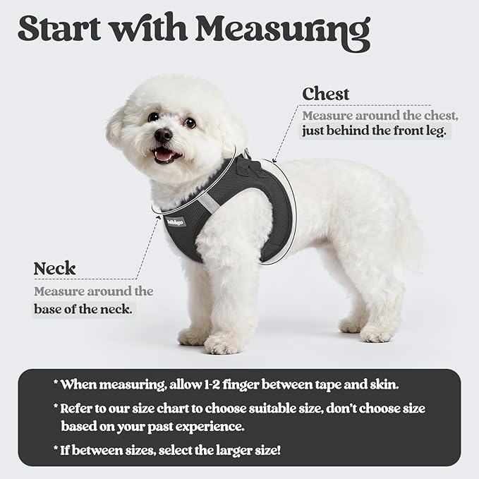 rabbitgoo Dog Harness Small Sized and Leash Set, Step in Soft Light Puppy Vest, Breathable Mesh Pet Harness, Reflective for Safe Easy Walking, Black XXS