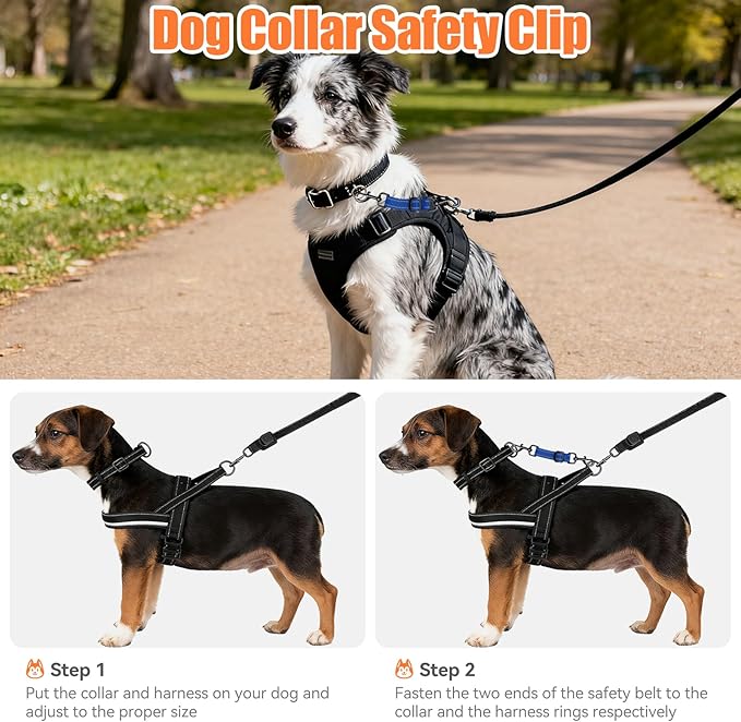 Dog Collar Safety Clip, Adjustable Backup Safety Strap, Double-Ended Leash Connector, High Reflectivity, Suitable for Dog Harnesses to Collar Safety Clips (Blue)