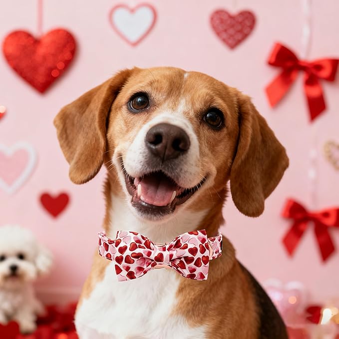 Maca Bates Valentine Love You Sweet Heart Dog Collar with Bow Tie for Dogs Valentines Bowtie Soft Adjustable Breakaway Red Collars Valentine for Small Medium Large Girl Boy Puppy