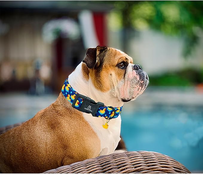 Lionheart glory Dog Collar Ducky Pattern Cute Collar for Large Dogs Spring Summer Female or Male Collars Pets Gift Adjustable Heavy-Duty Pet Collars